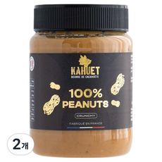 넛엑스퍼트 땅콩버터 크런치, 2개, 350g