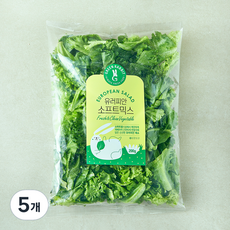 그린래빗 유러피안 소프트믹스 샐러드, 200g, 5개