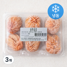네이처원 상주곶감 (냉동), 3개, 300g(6입)