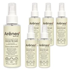 Arenes愛霓思乾洗手保濕潔淨精華, 100ml, 6瓶