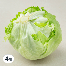 친환경 인증 점보 양상추, 1개입, 4개