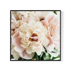 菠蘿選畫所 水紅牡丹掛畫 40 x 40cm 畫框 居家裝飾壁掛藝術品, 金色