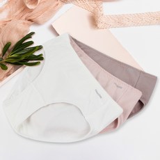 여성용 베이직 면스판 팬티 3종 세트