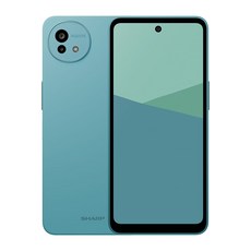 SHARP 夏普 AQUOS wish5 5G 智慧手機 6GB 6.6吋, 若葉綠, 128GB