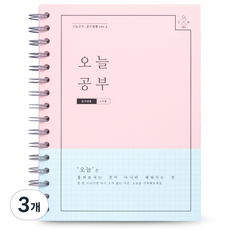 리훈 오늘공부 스프링 공시생용 6개월용 스터디플래너, 핑크, 3개