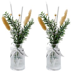 SC優選 植物精油 ins北歐乾燥花無火香薰擺飾 奇蹟森林 2個, 50ml