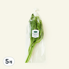 프리미엄 이유식용 친환경 아욱, 50g, 5개