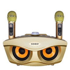 SDRD 貓頭鷹麥克風 SD-306 可攜式KTV音箱, DE985J06