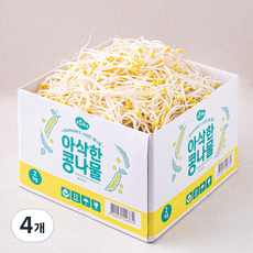 맑은물에 아삭한 콩나물, 2kg, 4개