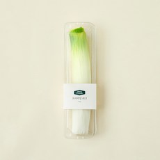 프리미엄 리크, 160g, 1개