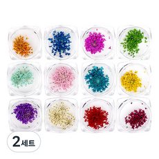Jello Jello Fresh Flower Glitter Art Nail Dry Flower Fresh Flower Set of 12, 2組, 混色
