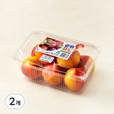 이로운군위 고당도 13Brix 자두, 2개, 1kg(중과)