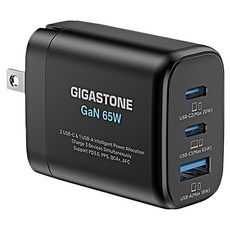 GIGASTONE 立達 GaN氮化鎵三孔快速充電器 65W, 黑色, 1個