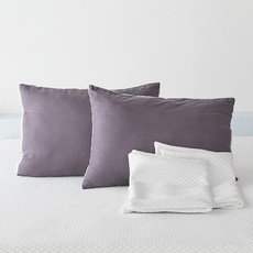 La Pomme 涼感枕套 2入+基本款枕芯 2入