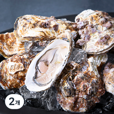 갯마을 남해안 석화 찜용 구이용 (냉장), 3.5kg, 2개