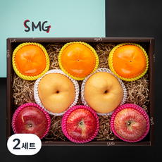 좋은하루 산지직송 과일 실속 C 사과 + 단감 + 배 선물세트, 2세트, 1.9kg