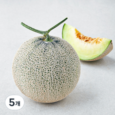 제이드가든 머스크메론, 1.2kg, 5개