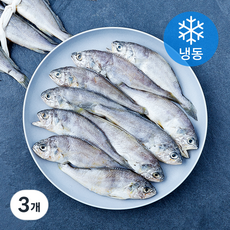 영광법성포 엮어진 굴비 20미 (냉동), 3개, 1kg