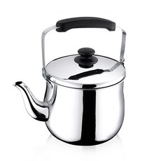 QUEEN SENSE 提把式不鏽鋼笛音煮水壺, 混色, 5L