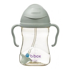 b.box 澳洲 升級版防漏PPSU吸管水杯 240ml, 莫蘭迪綠, 1入