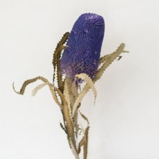 GAPANG 乾燥花 人造花 02號, 紫色