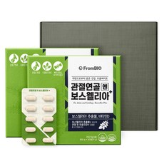 프롬바이오 관절연골엔 보스웰리아 플러스, 120정, 1개