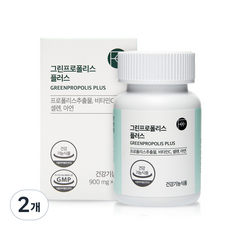 그린프로폴리스 플러스 54g, 60정, 2개
