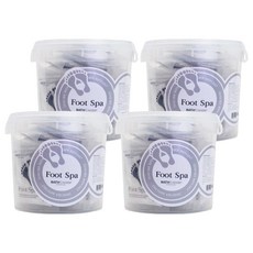 바스참 풋스파 족욕제 내추럴 25p, 750g, 4개