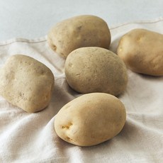 국내산 감자, 1개, 1kg(대)