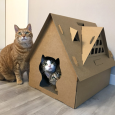 Catopia貓抓屋 QY-H001, 單色, 1個