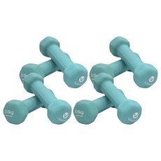 Valansis 美容啞鈴薄荷0.5kg, 0.5kg, 8個