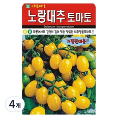 아람종묘 노랑대추토마토 씨앗, 4개