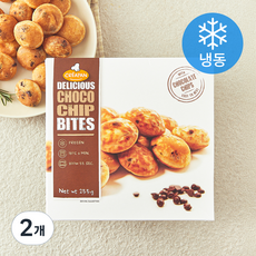 크레아팬 딜리셔스 초코칩 바이트 (냉동), 255g, 1개입, 2개