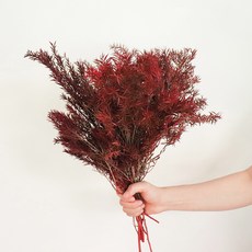 COCODOR 珂珂朵爾 茶樹乾燥花, 紅色