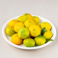 딜리조이 GAP당도선별 감귤 (하우스), 1kg, 1개