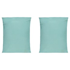 TAILI 太力 平面棉被衣物真空壓縮袋 L2436 綠底, 1組, 2個