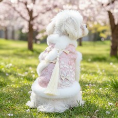 웨이비데이즈 반려동물 기모 레이스 동양풍 명절 펫 조끼, 옐로우, 1개