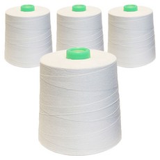 時尚焦點 拷克專用線 40S/2 2p, 白色, 10000m