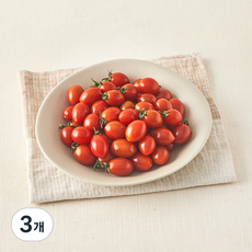 농업회사법인(주)좋은농산 무농약 인증 미니 대추방울토마토, 3개, 1kg