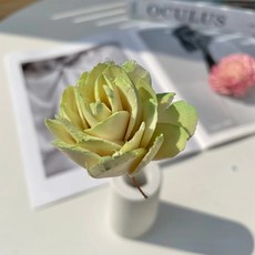 大理花 4.5cm 10個, 果綠色