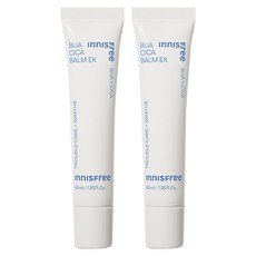 이니스프리 비자 시카밤, 40ml, 2개