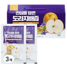 비타할로 진심을 담은 도라지배즙, 2.4L, 3개