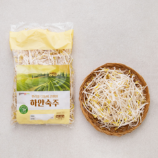 곰곰 뿌리를 다듬어 간편한 하얀숙주 500g, 1봉