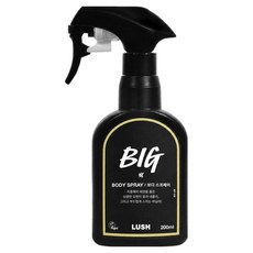 러쉬 빅 보디 스프레이, 200ml, 1개