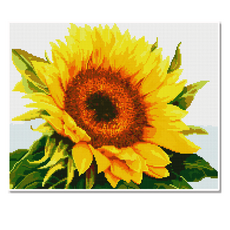 Momofix Painting 帆布框鑽石畫 40 x 50 cm, 一朵向日葵(DI10), 1個