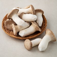 국내산 새송이 버섯, 2kg, 1개