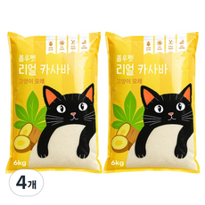 블루펫 리얼 카사바 고양이 모래, 6kg, 4개, 무향