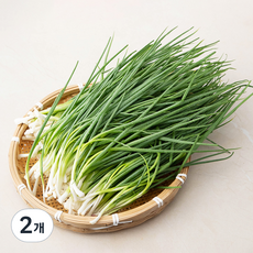 깐쪽파 국내산, 1kg, 2개