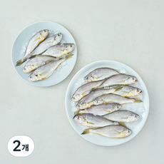 산지직송 일품 법성포 선별참조기 소 15마리 (냉장), 2개, 900g