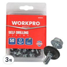 WORKPRO 六角防水螺絲 4.8 x 19 mm WP361013, 3個